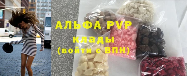 круглые Белокуриха