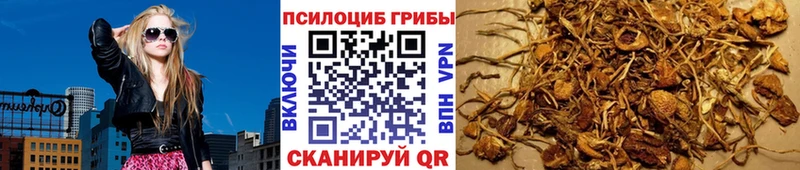 купить наркотики сайты Краснокамск Псилоцибиновые грибы мухоморы